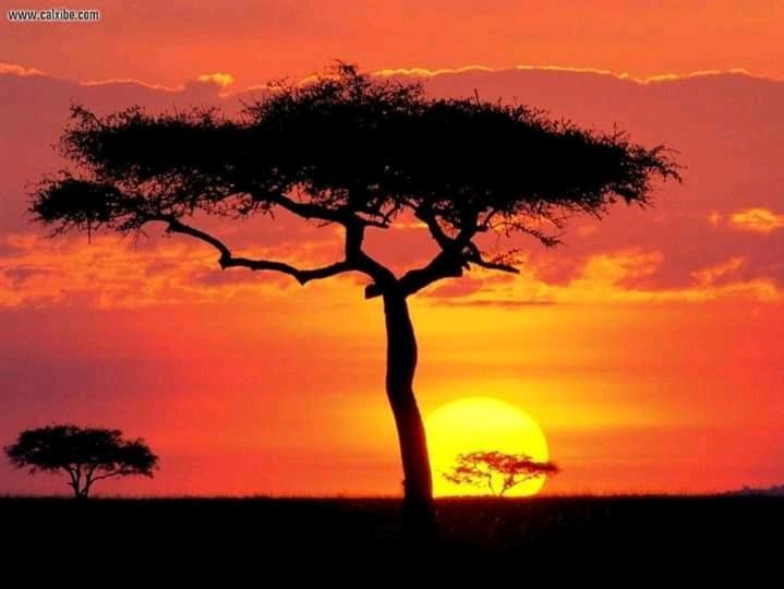 Ilkerin Camp Maasai Mara Bed & Breakfast Sekenani Exterior photo