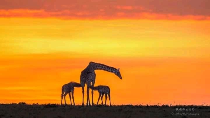 Ilkerin Camp Maasai Mara Bed & Breakfast Sekenani Exterior photo