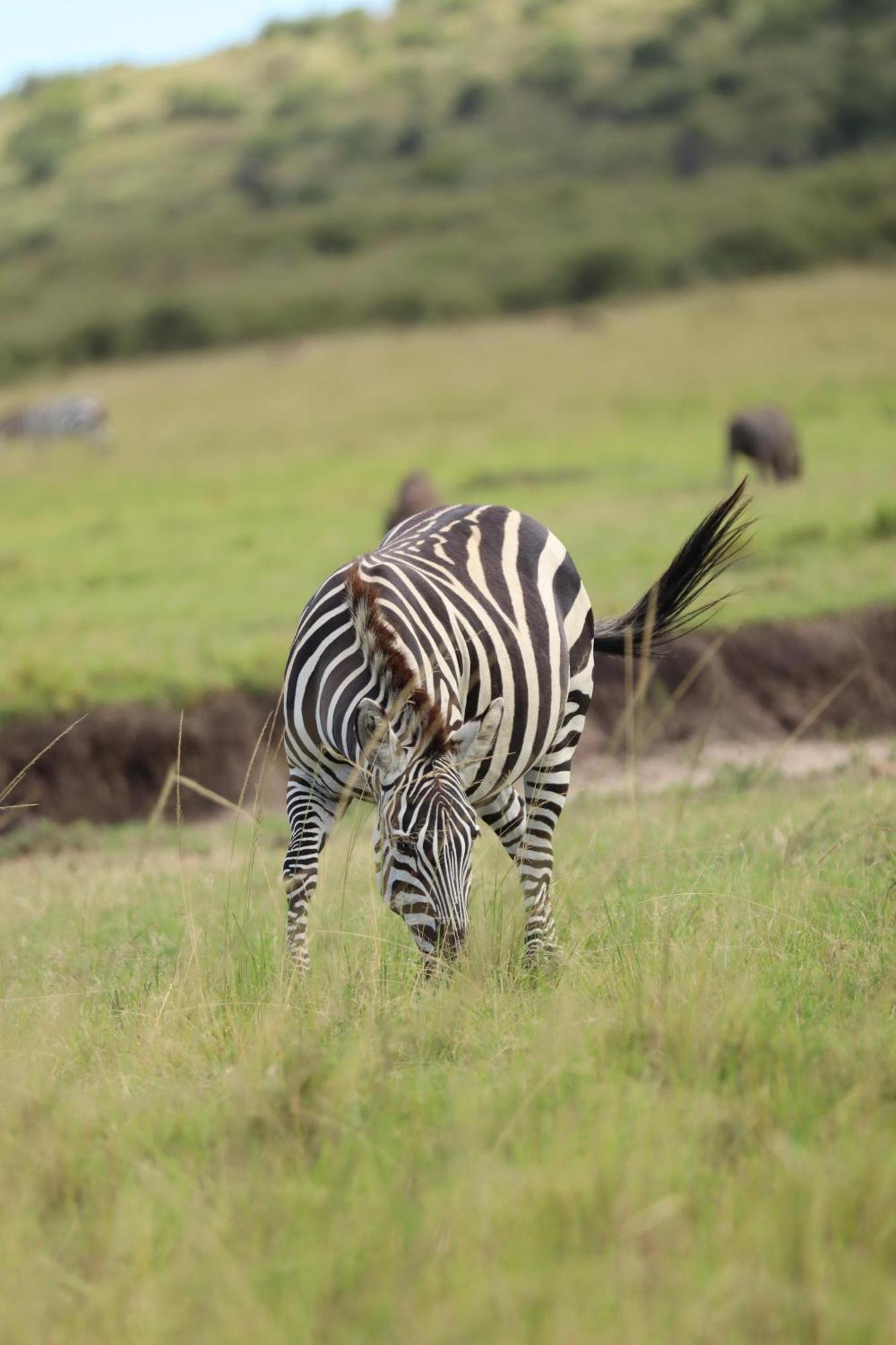 Ilkerin Camp Maasai Mara Bed & Breakfast Sekenani Exterior photo
